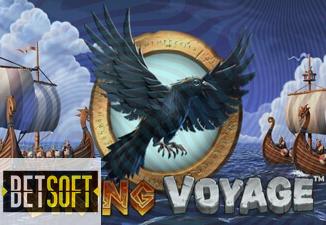 Viking Voyage